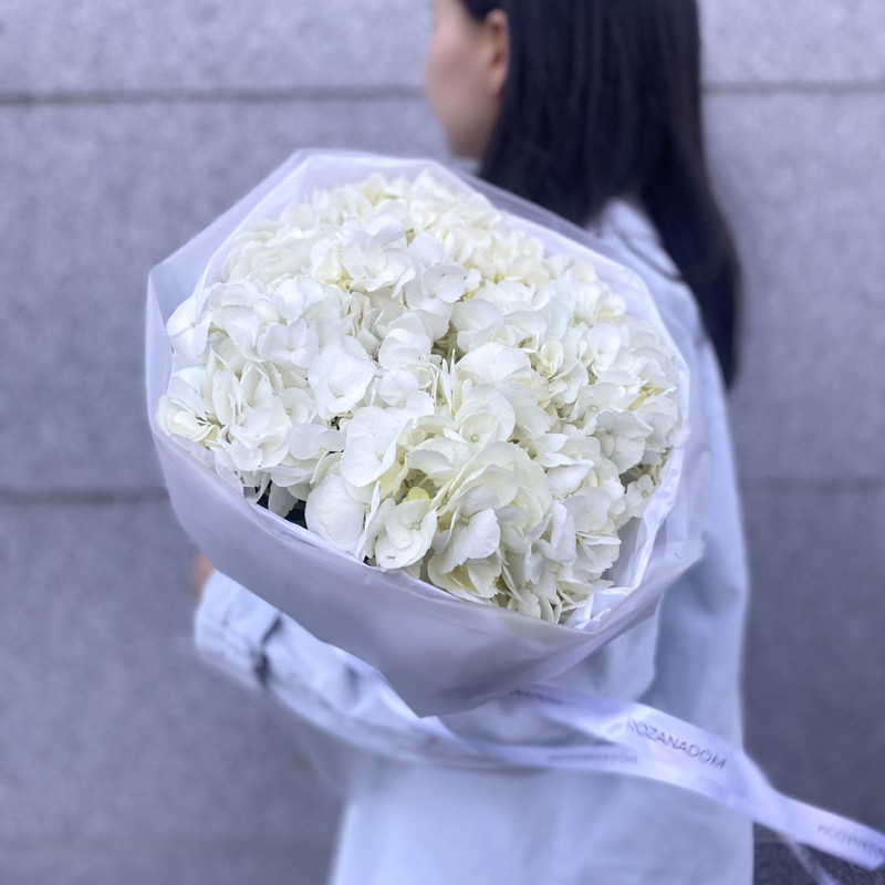 Bouquet of 5 white hydrangeas, standart