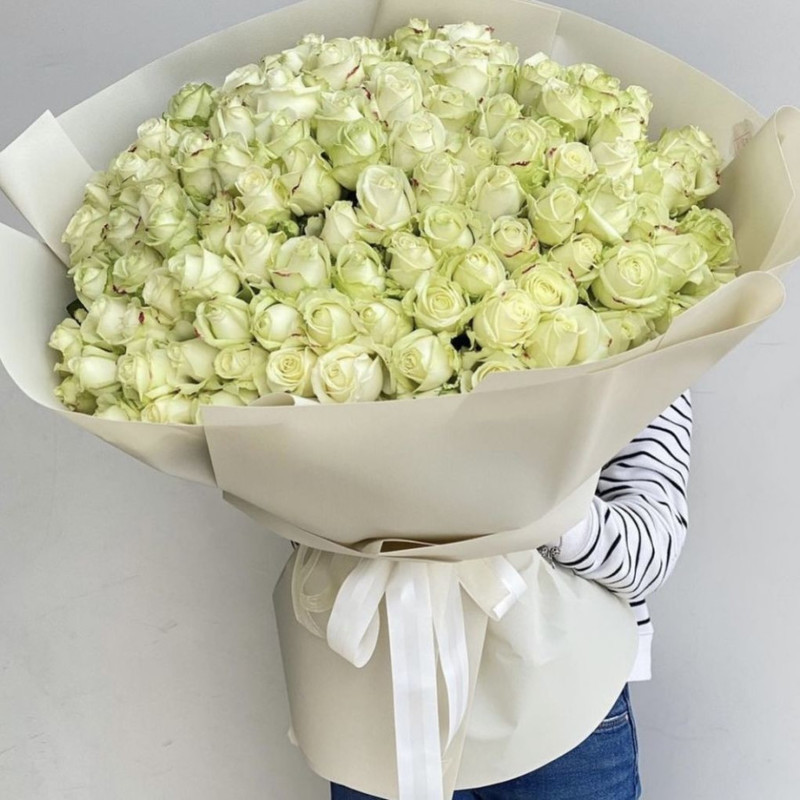 101 White rose, standart