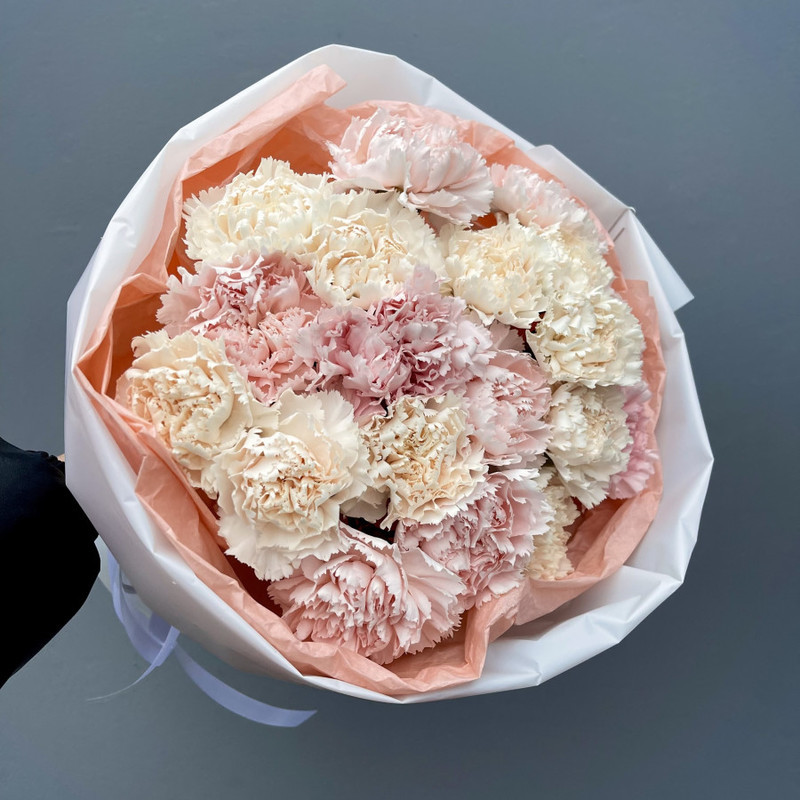 Delicate lace carnations, standart