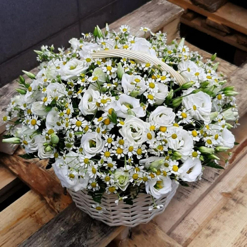 Basket with eustoma and daisies "Snow-white hills", standart