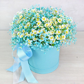 Box with daisies and gypsophila