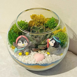 Mini florarium penguins in love