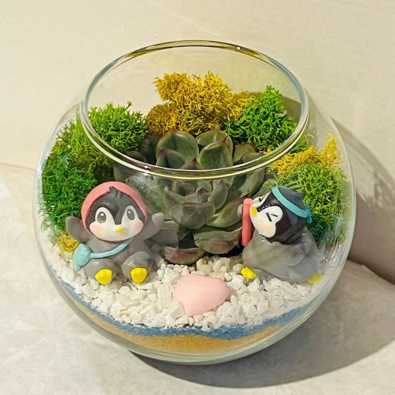 Mini florarium penguins in love, standart