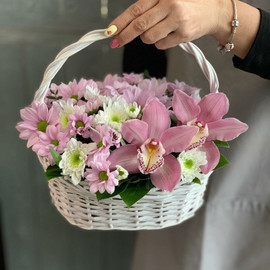 Chrysanthemum in a basket