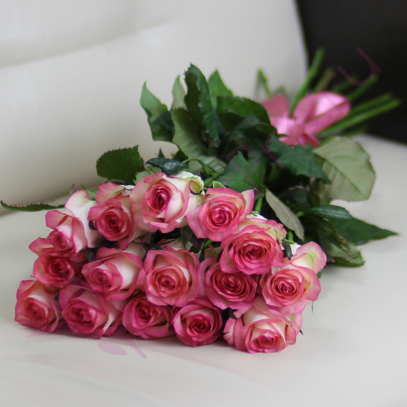 15 розовых роз Джумилия 60 см, стандартный