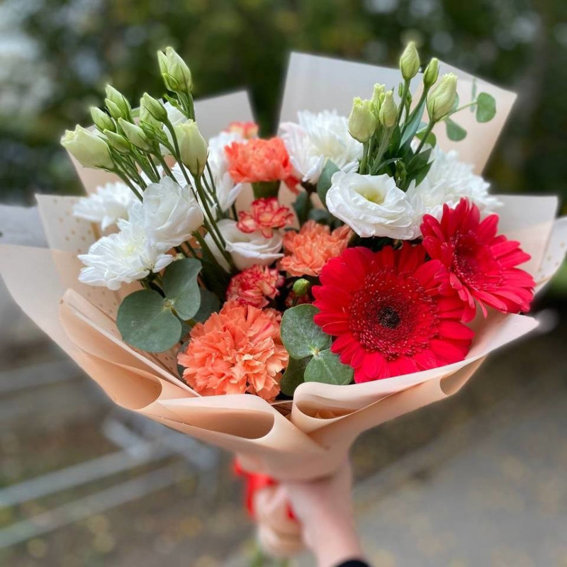 Compliment with a bright gerbera, standart