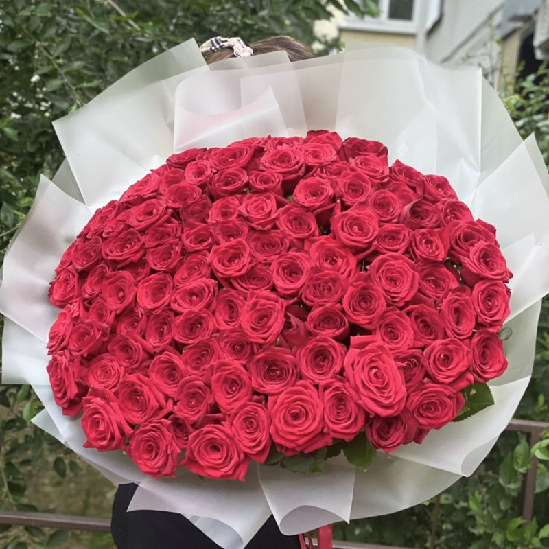 101 red Rose 70cm, standart