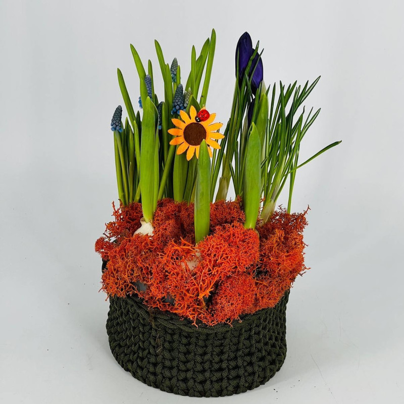 Весенний букет луковичных первоцветов в вязаном кашпо, стандартный
