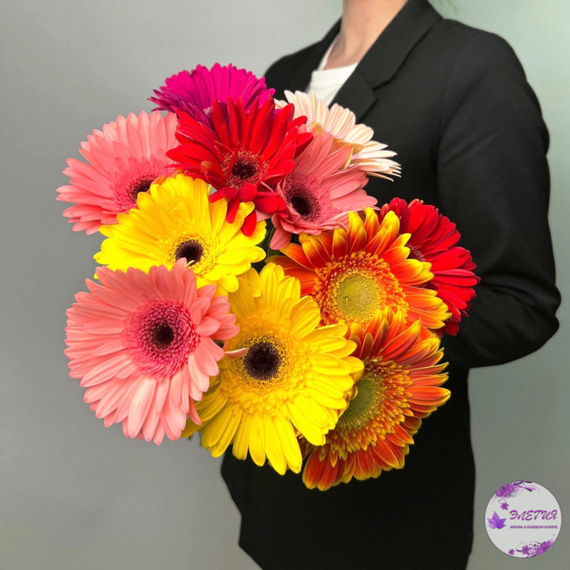 Bouquet of 11 multi-colored gerberas, standart