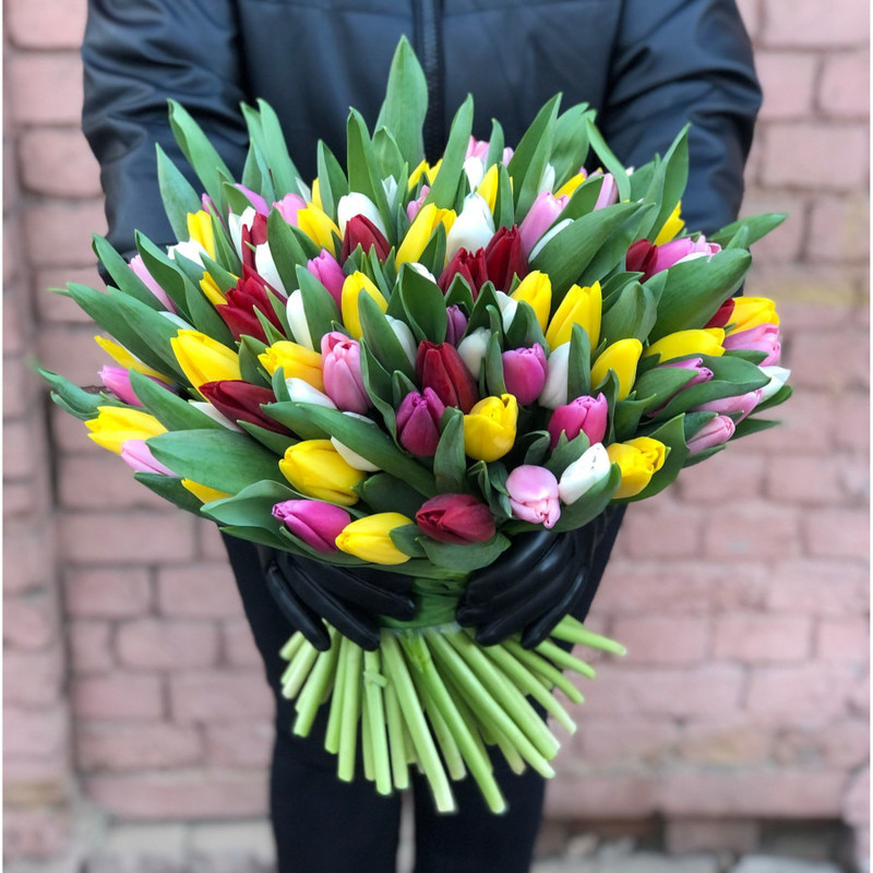 Mix of tulips No. 6, standart