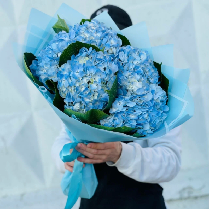 Bouquet of 5 blue hydrangeas, standart