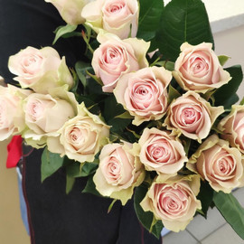 Bouquet of 15 roses