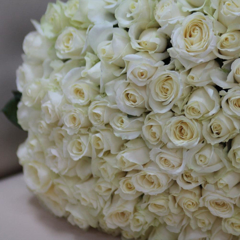 Букет из 101 белой розы 50 см, стандартный