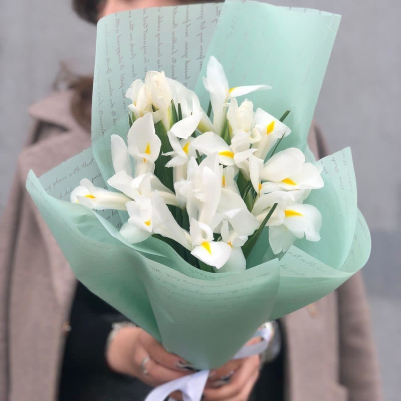 11 white irises in film, standart