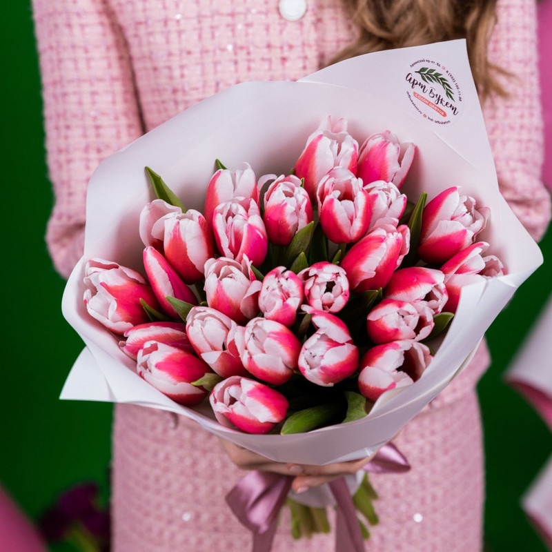 25 pink and white tulips, standart