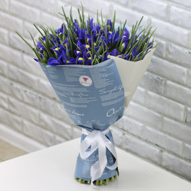 51 blue iris in a designer package