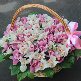 Delicate basket of 51 orchids