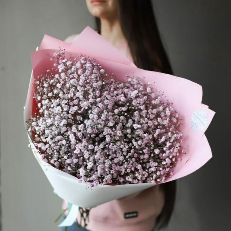 Bouquet of pink gypsophila, standart