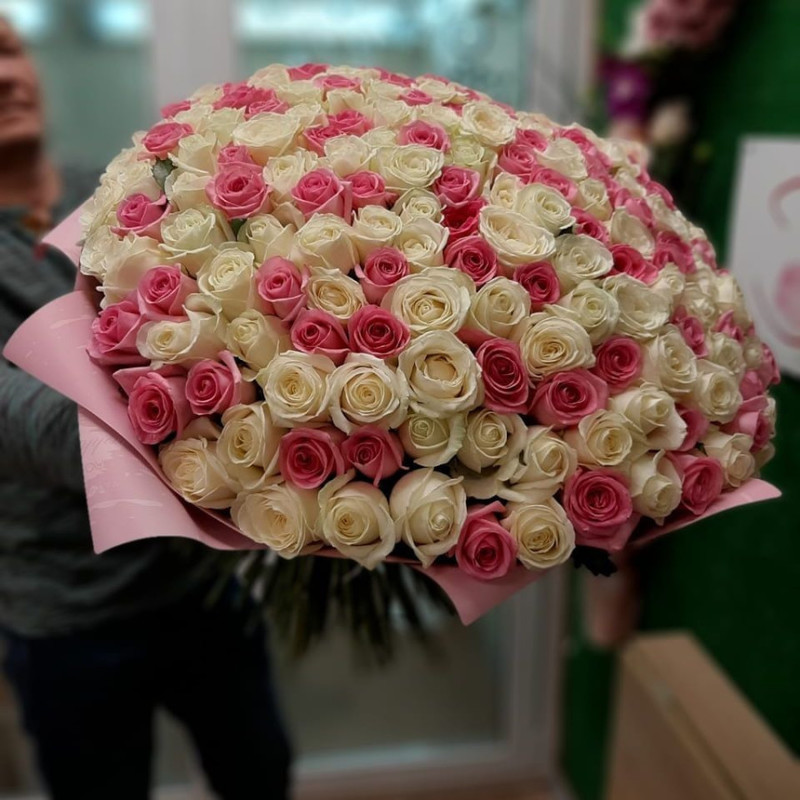 201 white-pink rose, standart