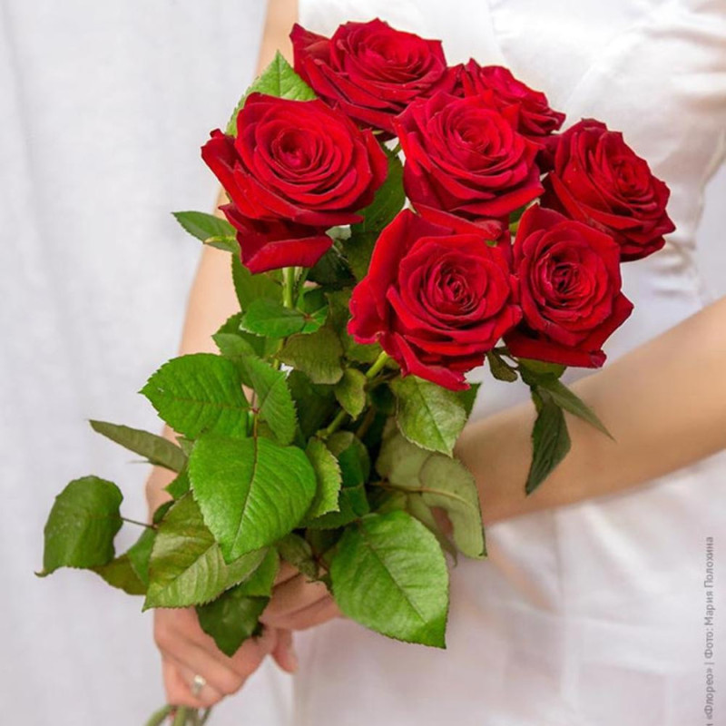 5. Bouquet of 7 red roses, standart