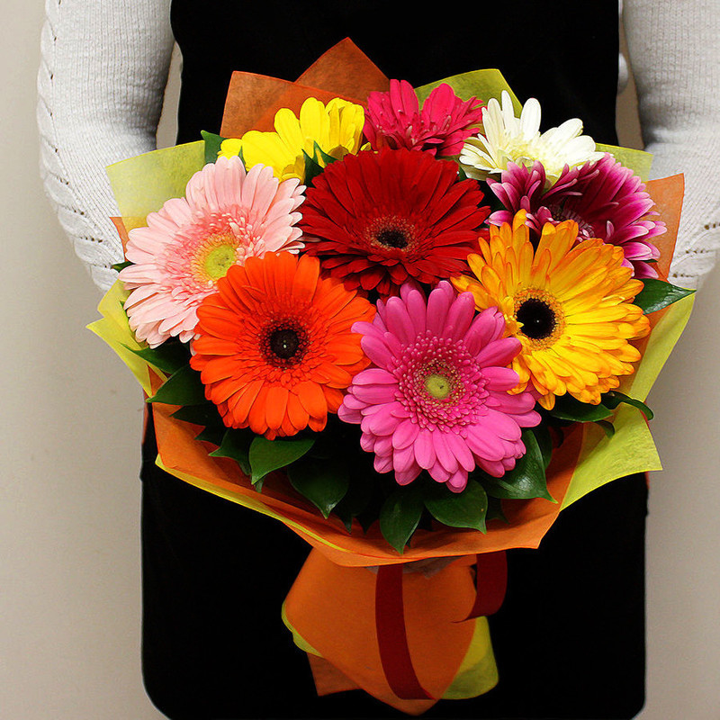 Bouquet of colorful gerberas, standart