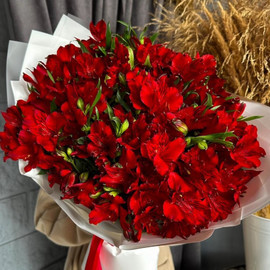 Bouquet of red alstraemeria 19 branchesSize M