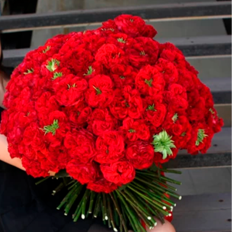 Bouquet of 151 red roses Red Monster, standart