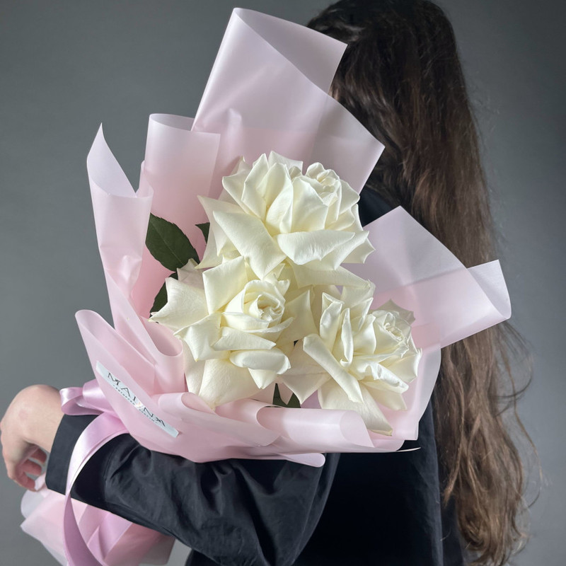 Snow-white French roses, standart