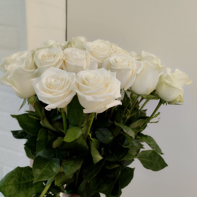 bouquet of elite white roses, standart
