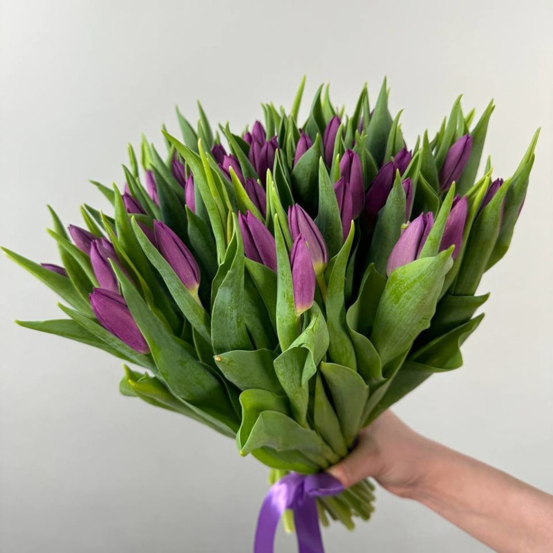 Bouquet of 51 lilac tulips, standart