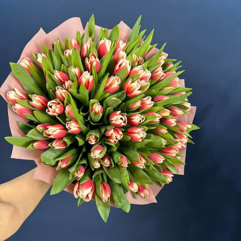 Bouquet of 101 pink and white tulips in a package, standart