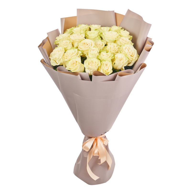 Bouquet of 25 white Ecuadorian roses in a package, standart