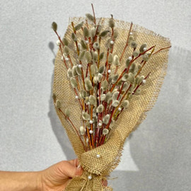 Easter bouquet of blooming willow