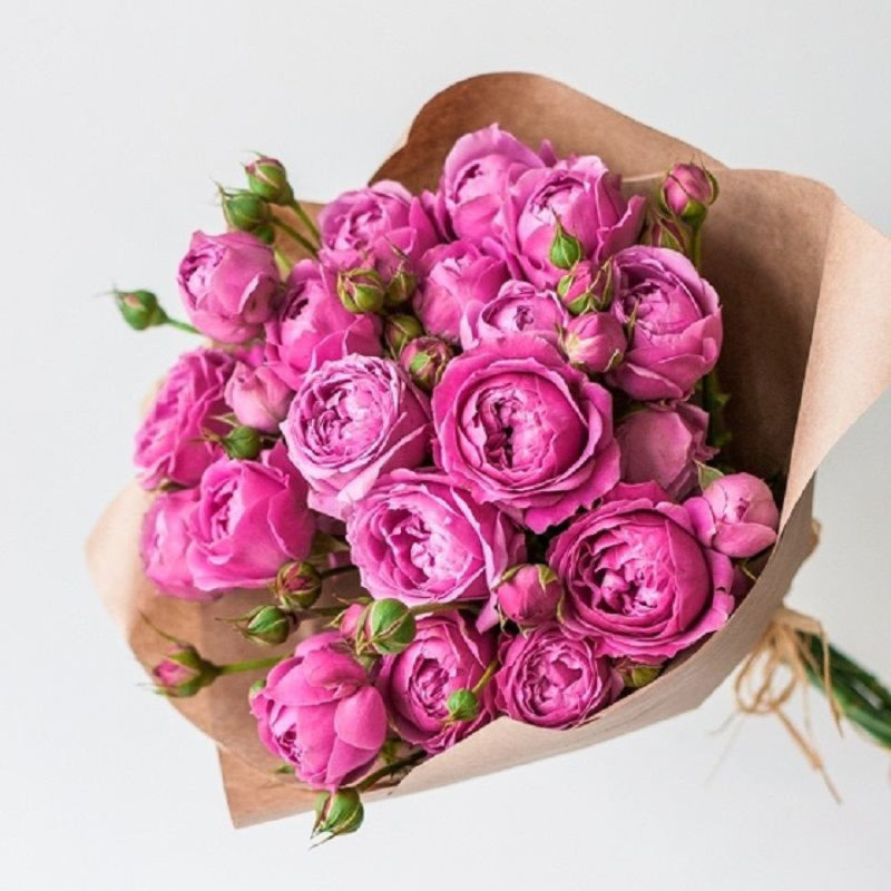 11 spray peony roses Misty bubbles per package, standart