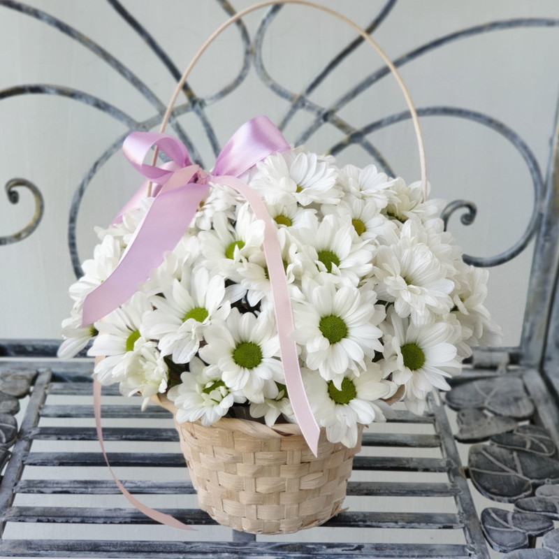 Sweet basket with chamomile chrysanthemum, standart