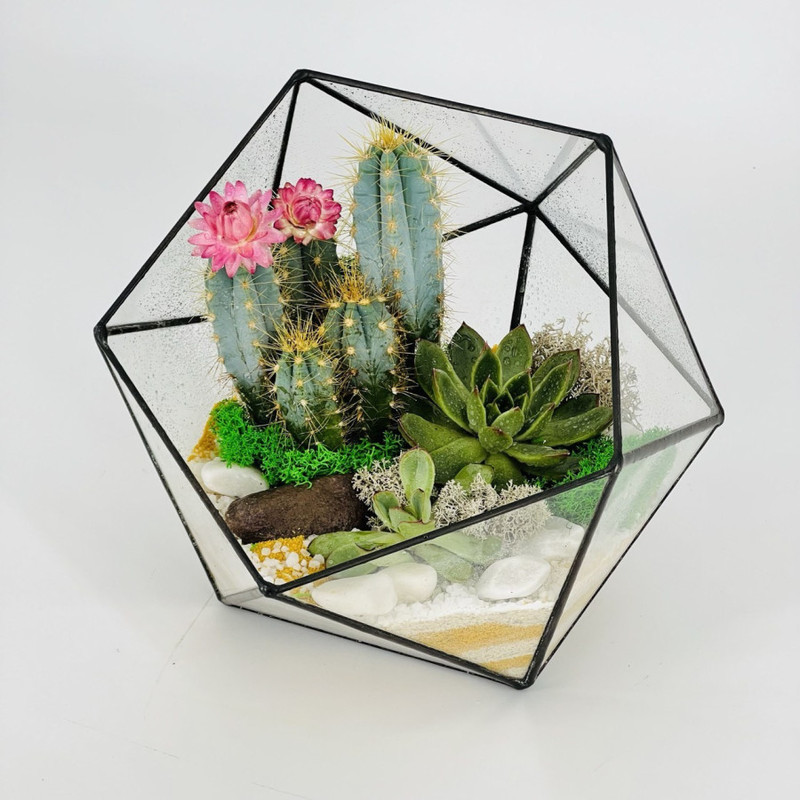 Gift florarium with succulents and cacti, standart