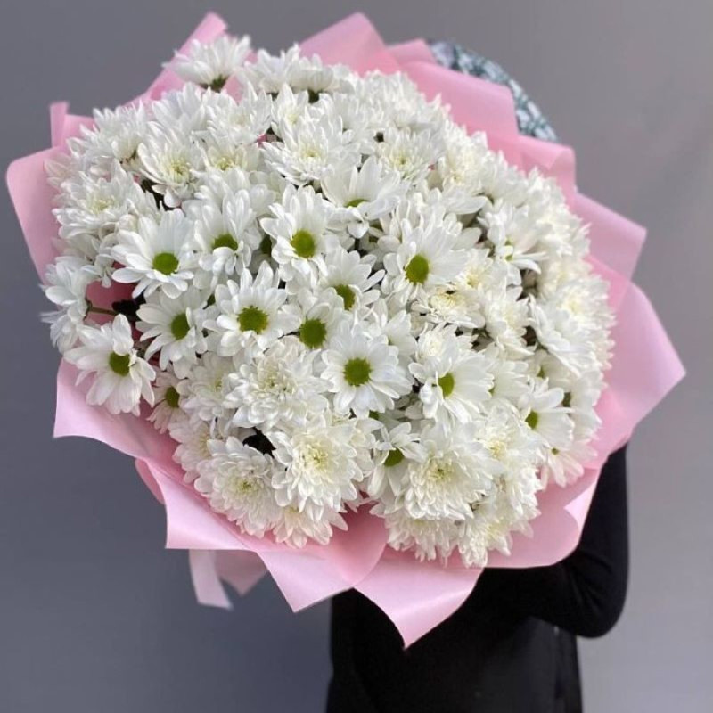white chrysanthemums, standart