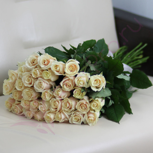 35 кремовых роз Талея 60 см, стандартный