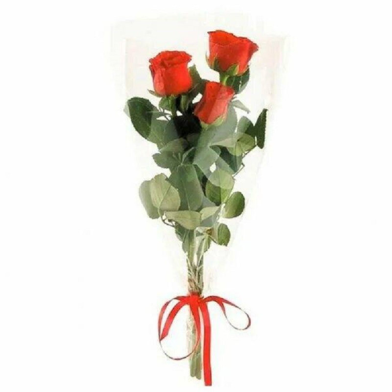 roses in a package, standart