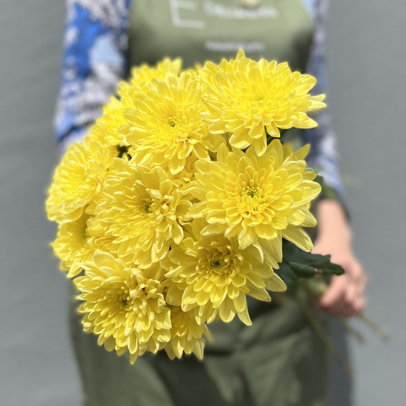 Mono bouquet of chrysanthemums, standart