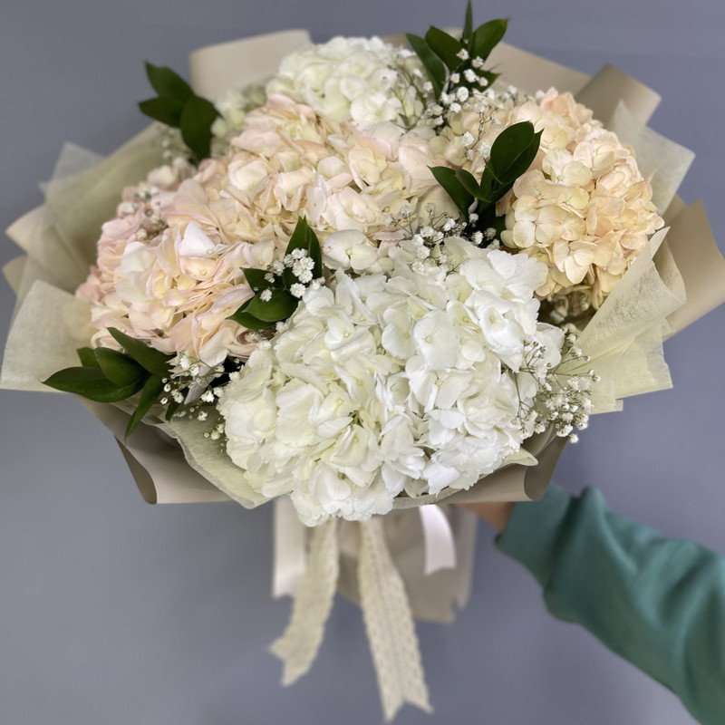 Bouquet of lush hydrangeas, standart