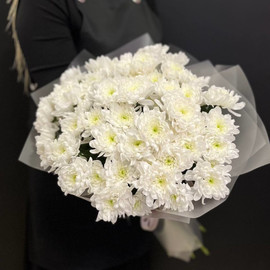 Delicate bouquet of 11 chrysanthemums
