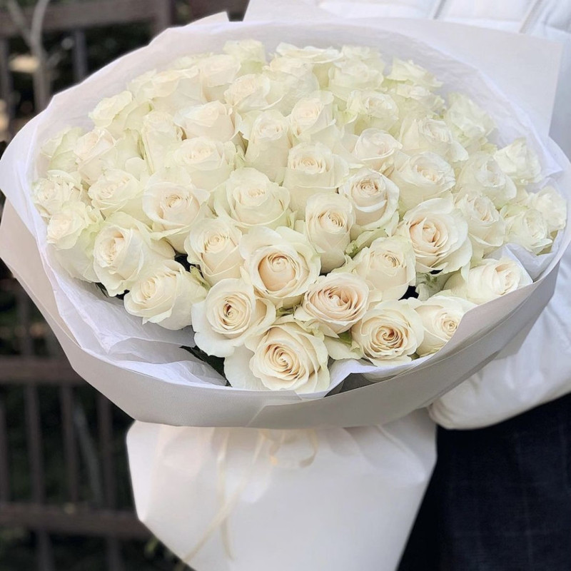 51 white rose, standart