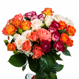 15 multi-colored spray roses