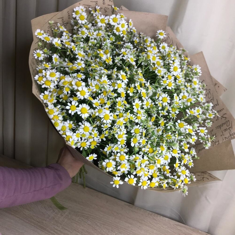 Large bouquet of daisies, standart