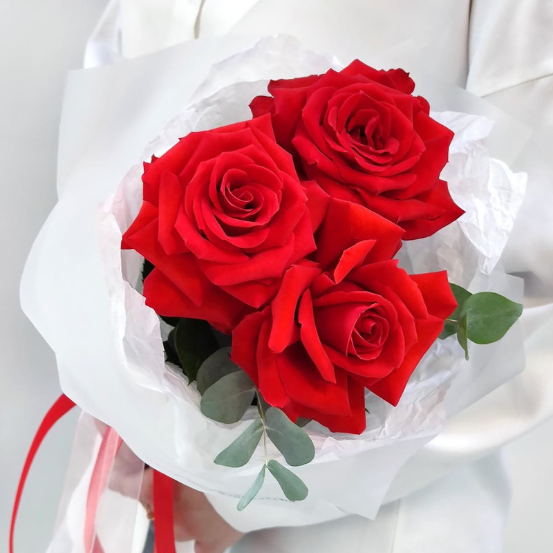 Hot compliment of scarlet roses, standart