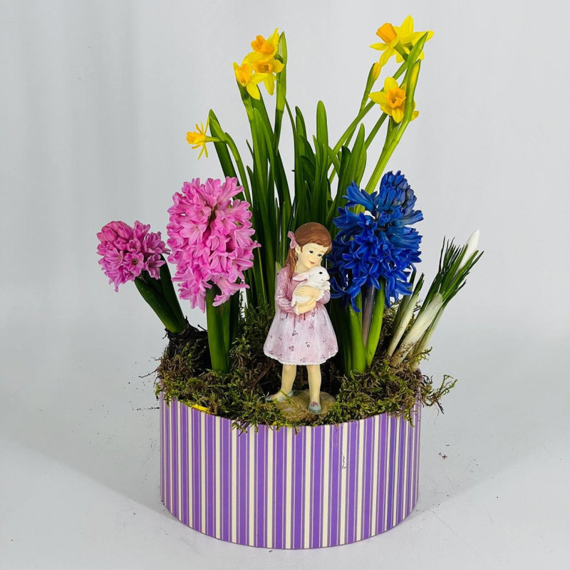 Bouquet of bulbous primroses in a box with a decorative figurine, standart