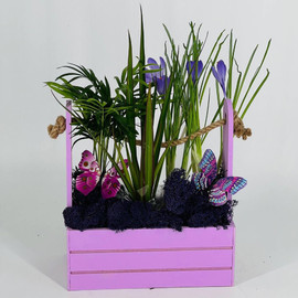Композиция комнатных растений и весенних первоцветов в деревянном ящике