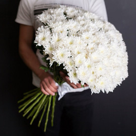 "Mono of white chrysanthemums"