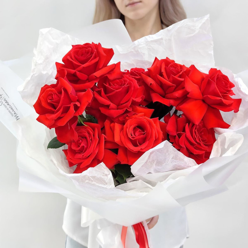 Fiery hello scarlet French roses, standart
